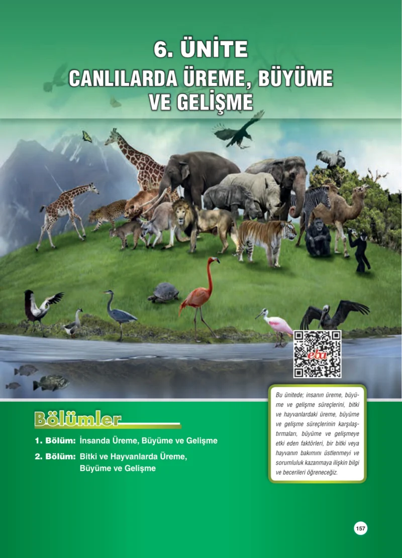 7. Sınıf Fen Bilimleri Ders Kitabı Cevapları Aydın Yayınları Sayfa 157
