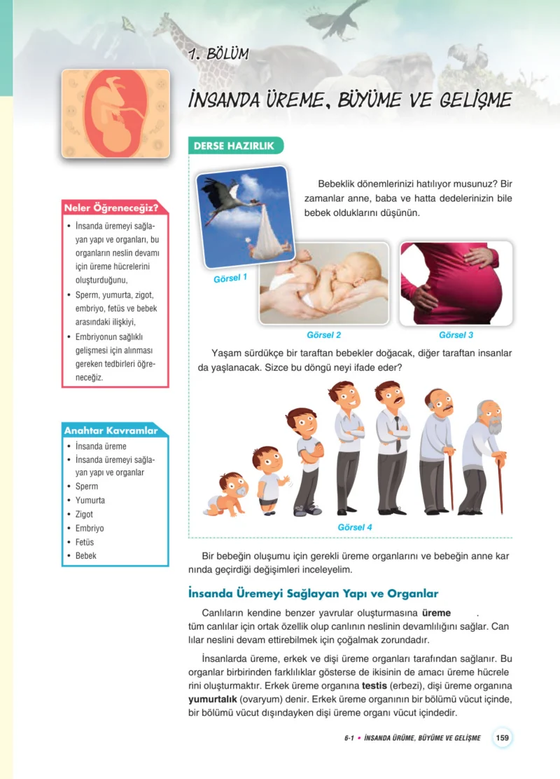 7. Sınıf Fen Bilimleri Ders Kitabı Cevapları Aydın Yayınları Sayfa 159