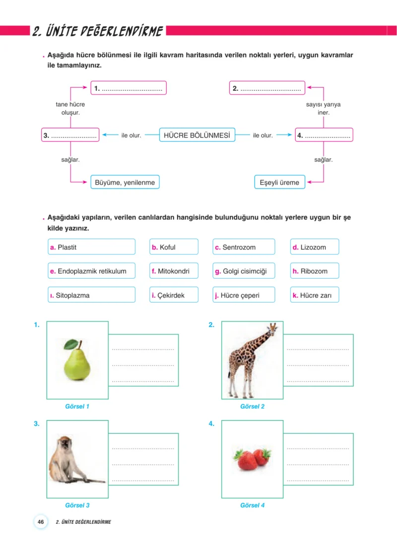 7. Sınıf Fen Bilimleri Ders Kitabı Cevapları Aydın Yayınları Sayfa 46