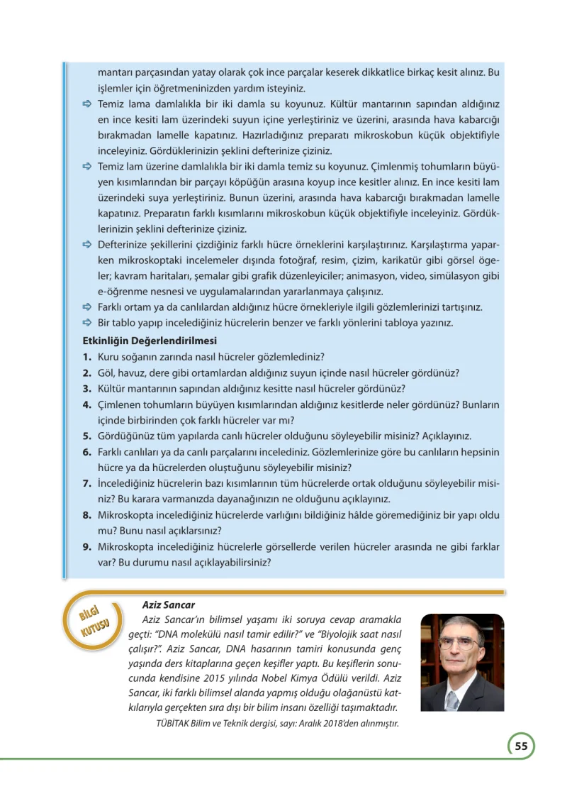 7. Sınıf Fen Bilimleri Ders Kitabı Cevapları Ferman Yayınları Sayfa 55