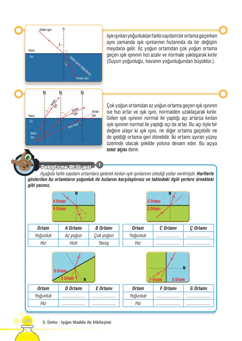 7. Sınıf Fen Bilimleri Ders Kitabı Cevapları Meb Yayınları Sayfa 166
