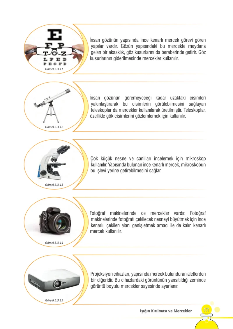 7. Sınıf Fen Bilimleri Ders Kitabı Cevapları Meb Yayınları Sayfa 171