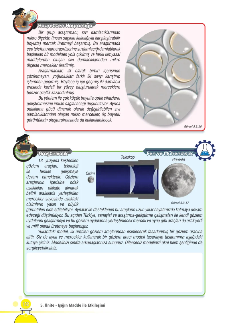 7. Sınıf Fen Bilimleri Ders Kitabı Cevapları Meb Yayınları Sayfa 172