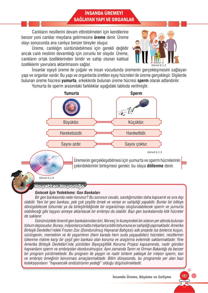 7. Sınıf Fen Bilimleri Ders Kitabı Cevapları Meb Yayınları Sayfa 181