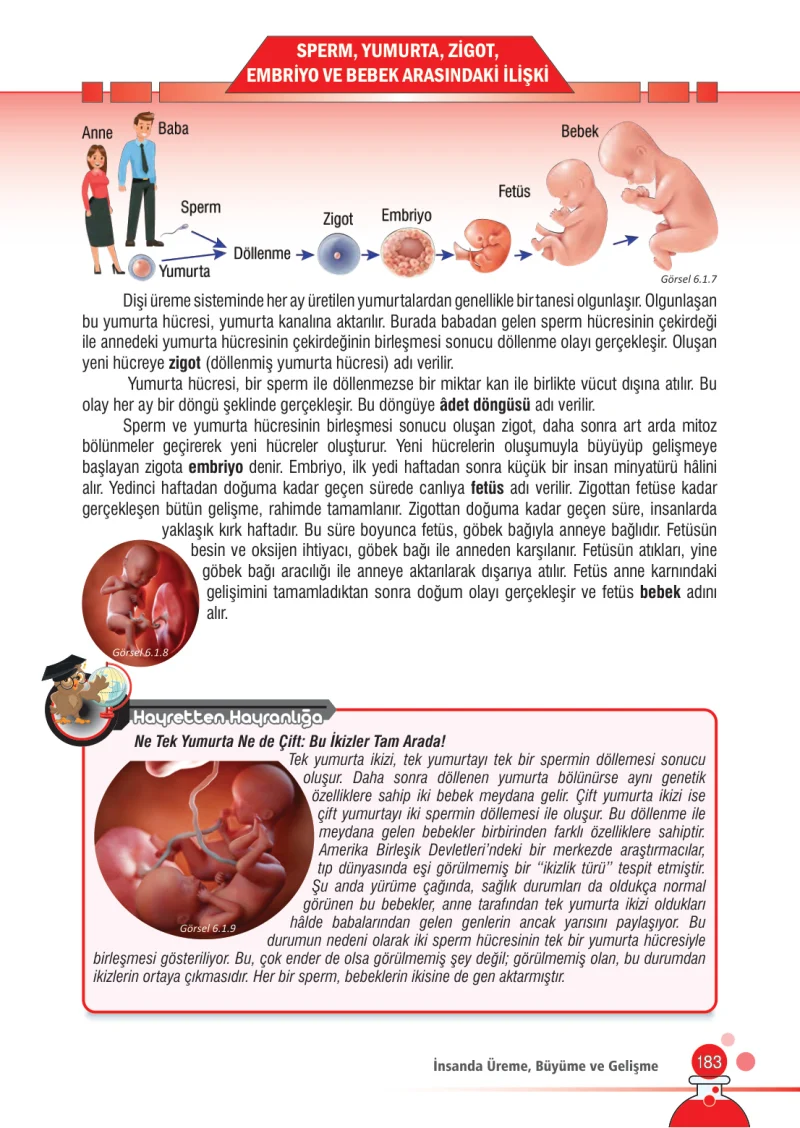 7. Sınıf Fen Bilimleri Ders Kitabı Cevapları Meb Yayınları Sayfa 183