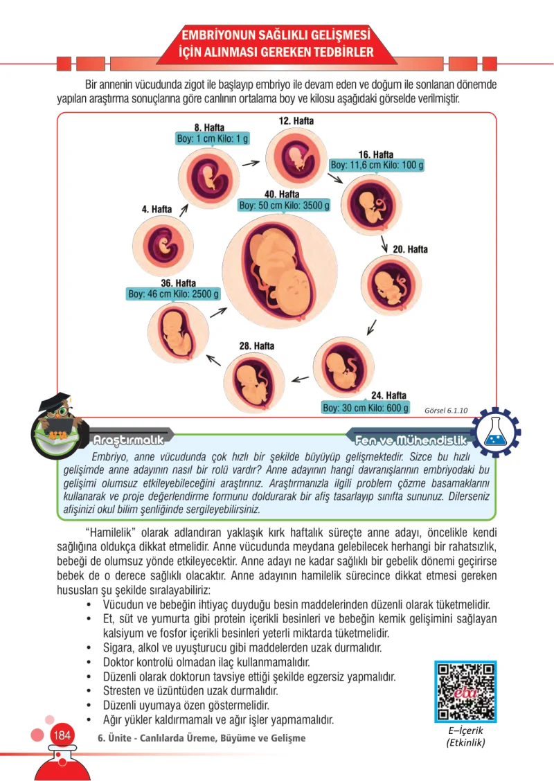 7. Sınıf Fen Bilimleri Ders Kitabı Cevapları Meb Yayınları Sayfa 184