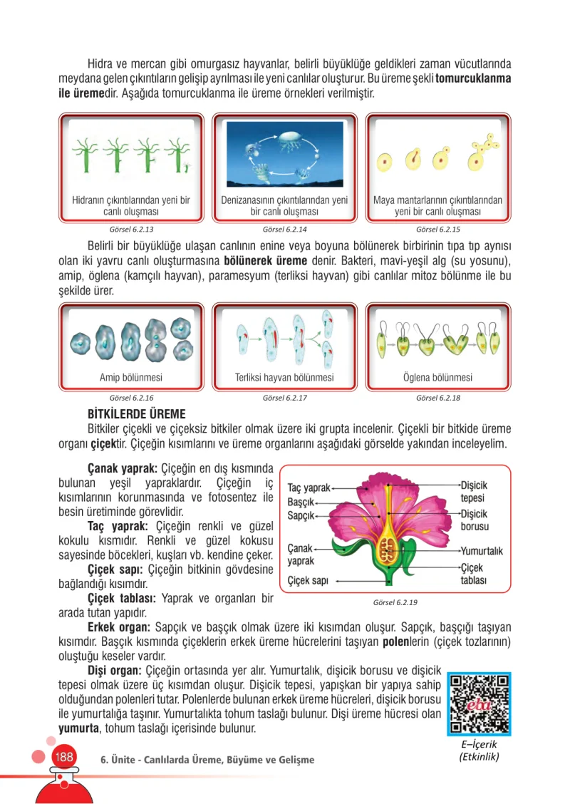 7. Sınıf Fen Bilimleri Ders Kitabı Cevapları Meb Yayınları Sayfa 188