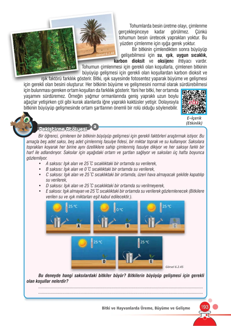 7. Sınıf Fen Bilimleri Ders Kitabı Cevapları Meb Yayınları Sayfa 193