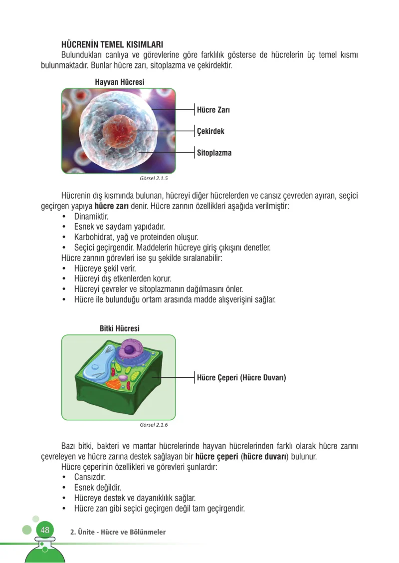 7. Sınıf Fen Bilimleri Ders Kitabı Cevapları Meb Yayınları Sayfa 48