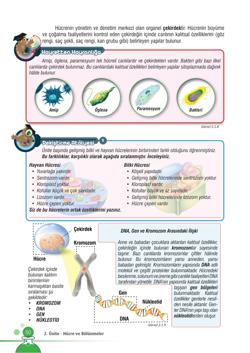 7. Sınıf Fen Bilimleri Ders Kitabı Cevapları Meb Yayınları Sayfa 50