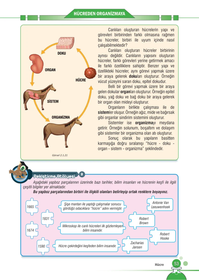 7. Sınıf Fen Bilimleri Ders Kitabı Cevapları Meb Yayınları Sayfa 53