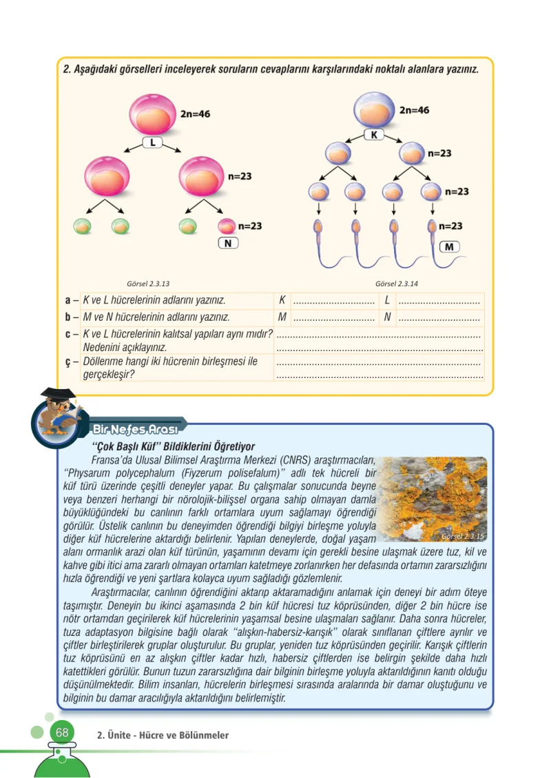 7. Sınıf Fen Bilimleri Ders Kitabı Cevapları Meb Yayınları Sayfa 68