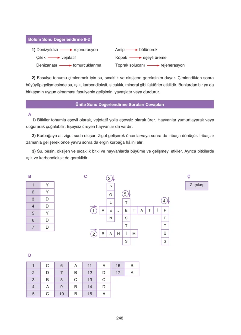 7. Sınıf Fen Bilimleri Ders Kitabı Cevapları Tutku Yayınları Sayfa 248