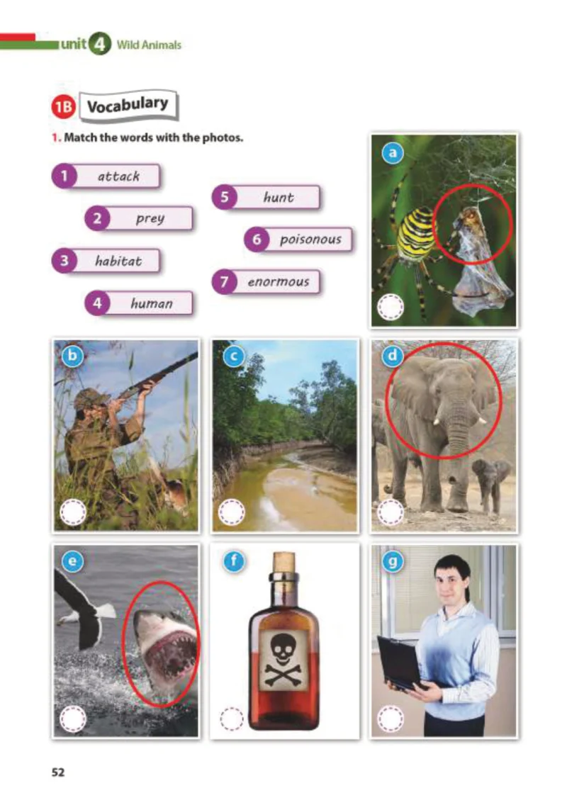 7. Sınıf İngilizce Ders Kitabı Cevapları Kök-e Yayınları Sayfa 52