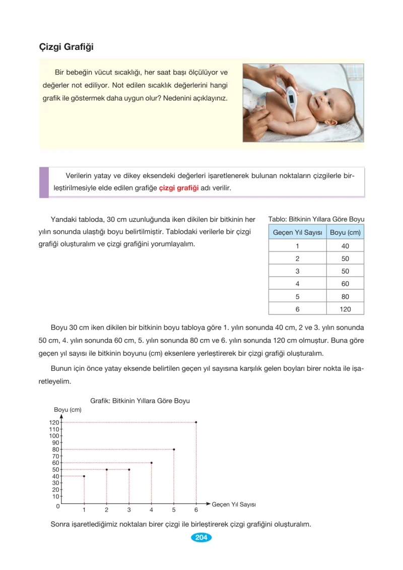7. Sınıf Matematik Ders Kitabı Cevapları Berkay Yayınları Sayfa 204