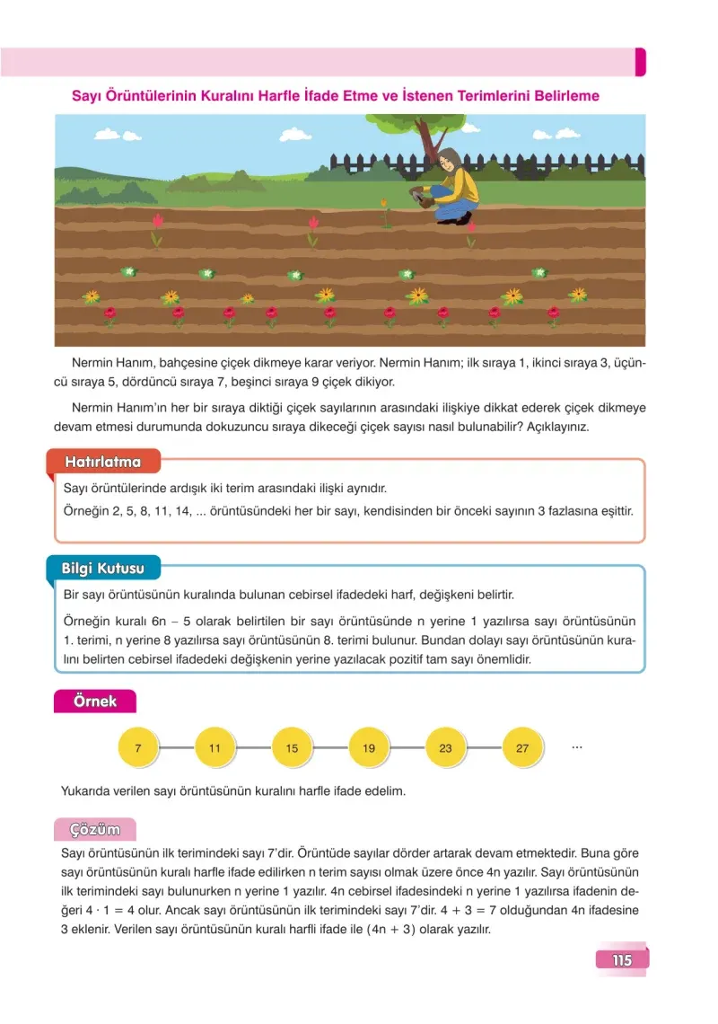7. Sınıf Matematik Ders Kitabı Cevapları Edat Yayınları Sayfa 115