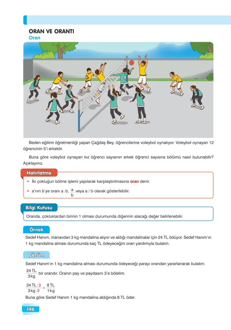 7. Sınıf Matematik Ders Kitabı Cevapları Edat Yayınları Sayfa 146