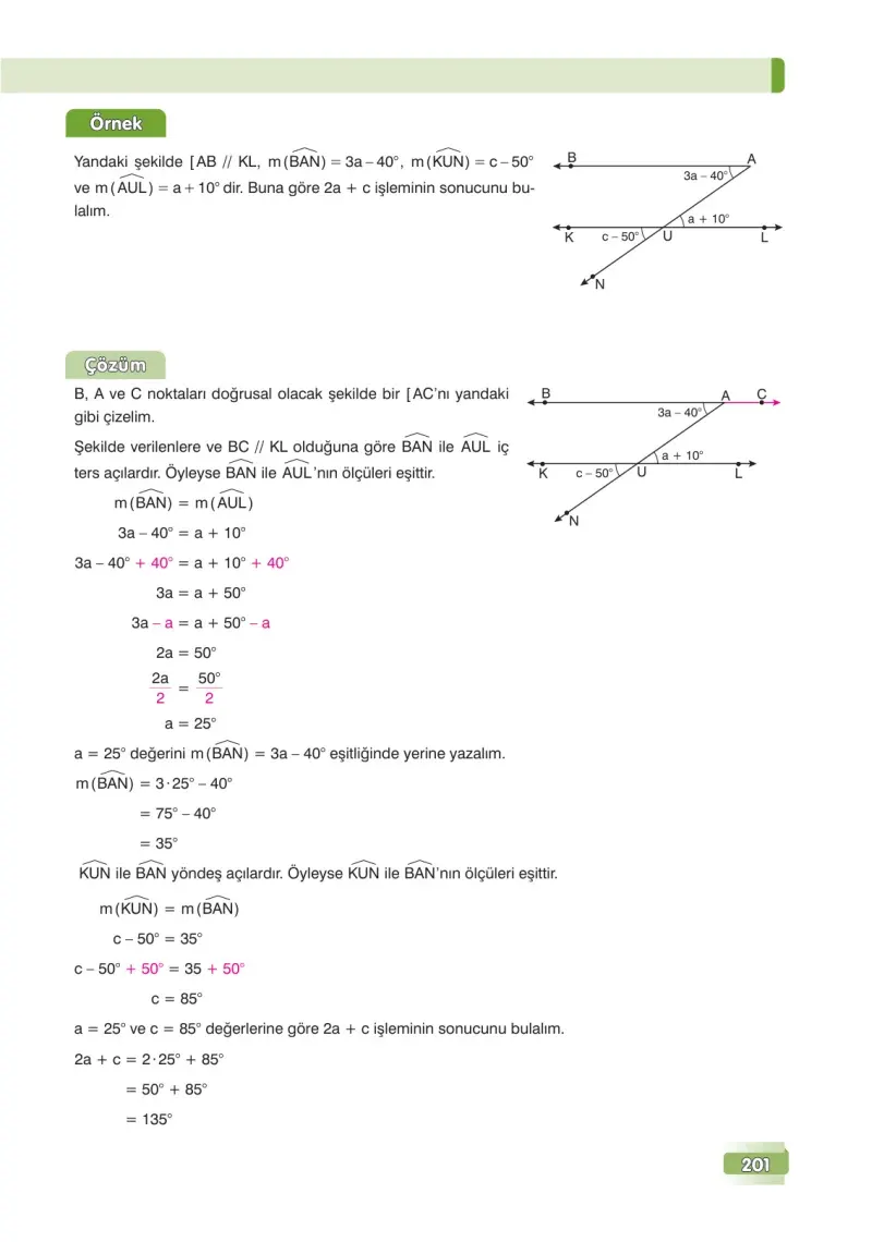 7. Sınıf Matematik Ders Kitabı Cevapları Edat Yayınları Sayfa 201