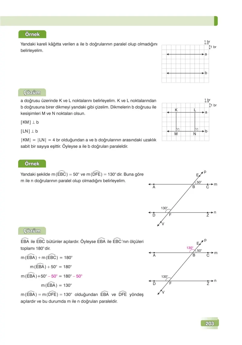 7. Sınıf Matematik Ders Kitabı Cevapları Edat Yayınları Sayfa 203