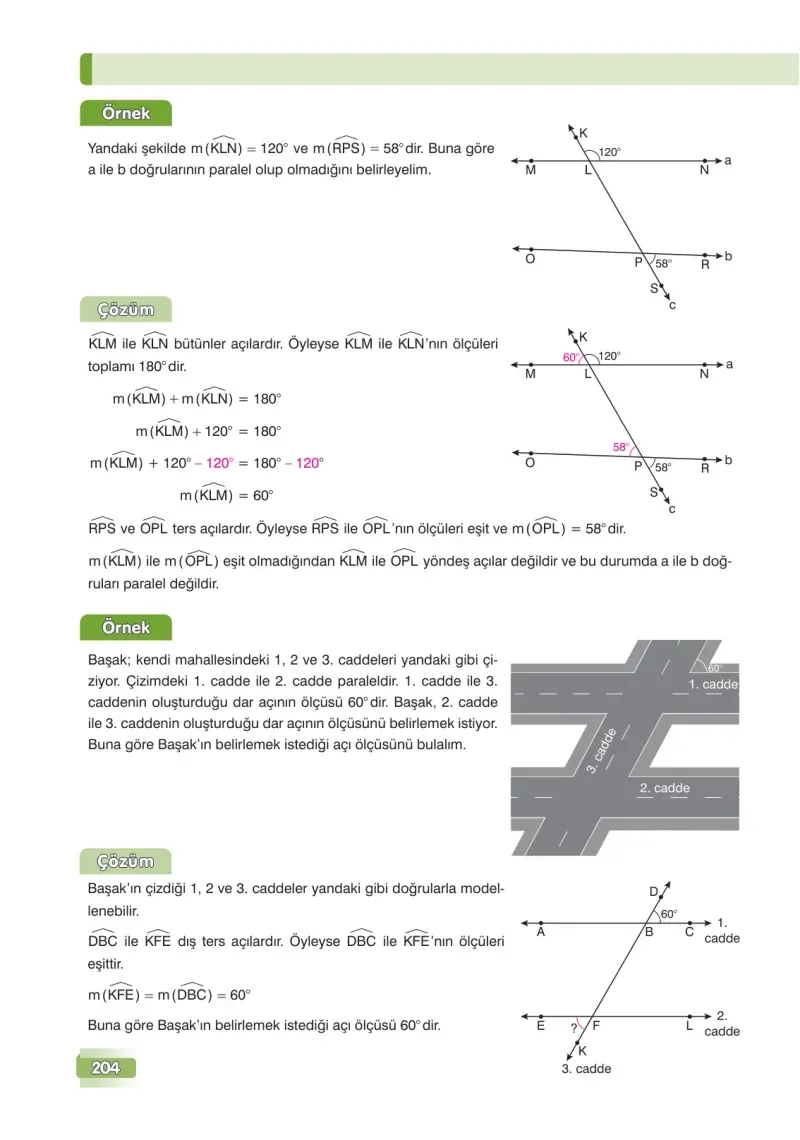 7. Sınıf Matematik Ders Kitabı Cevapları Edat Yayınları Sayfa 204