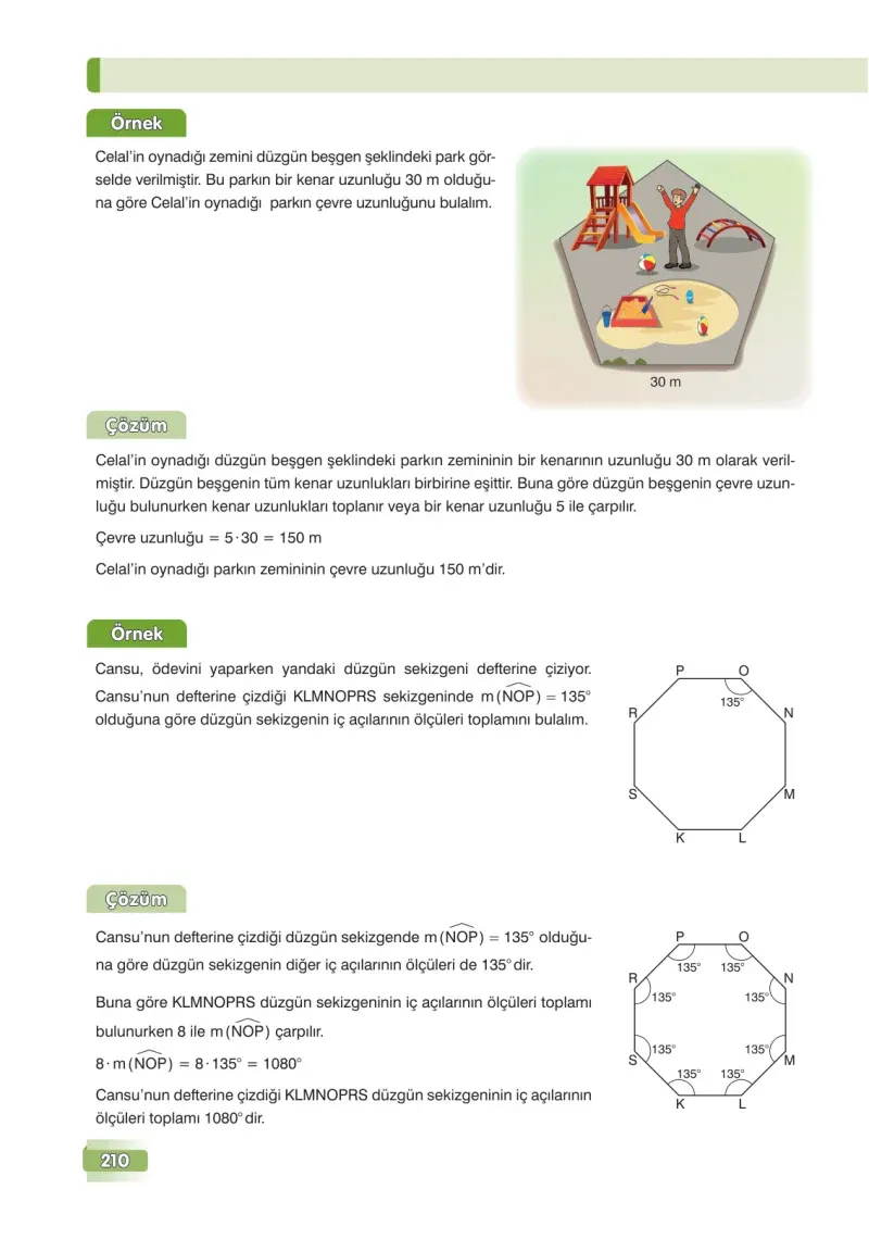 7. Sınıf Matematik Ders Kitabı Cevapları Edat Yayınları Sayfa 210