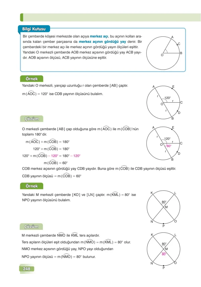 7. Sınıf Matematik Ders Kitabı Cevapları Edat Yayınları Sayfa 248