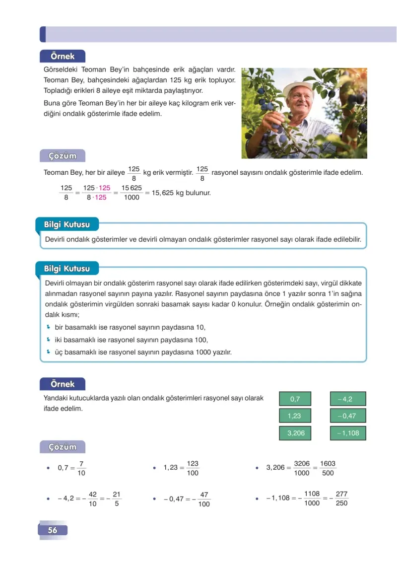 7. Sınıf Matematik Ders Kitabı Cevapları Edat Yayınları Sayfa 56