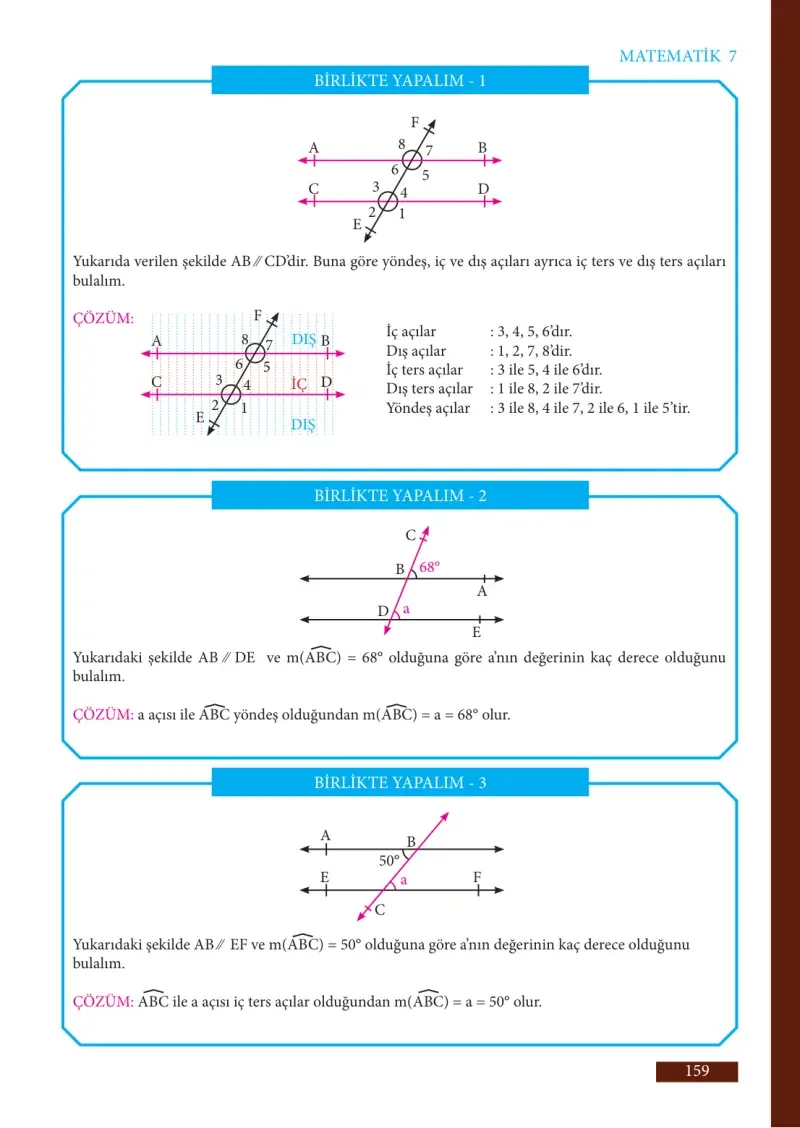 7. Sınıf Matematik Ders Kitabı Cevapları Meb Yayınları Sayfa 159