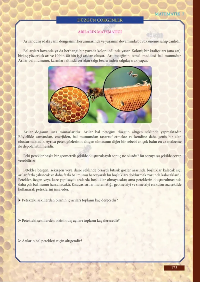 7. Sınıf Matematik Ders Kitabı Cevapları Meb Yayınları Sayfa 173