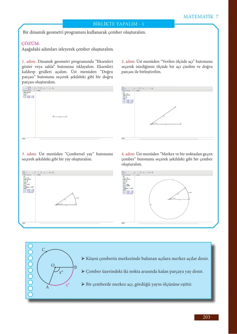 7. Sınıf Matematik Ders Kitabı Cevapları Meb Yayınları Sayfa 203