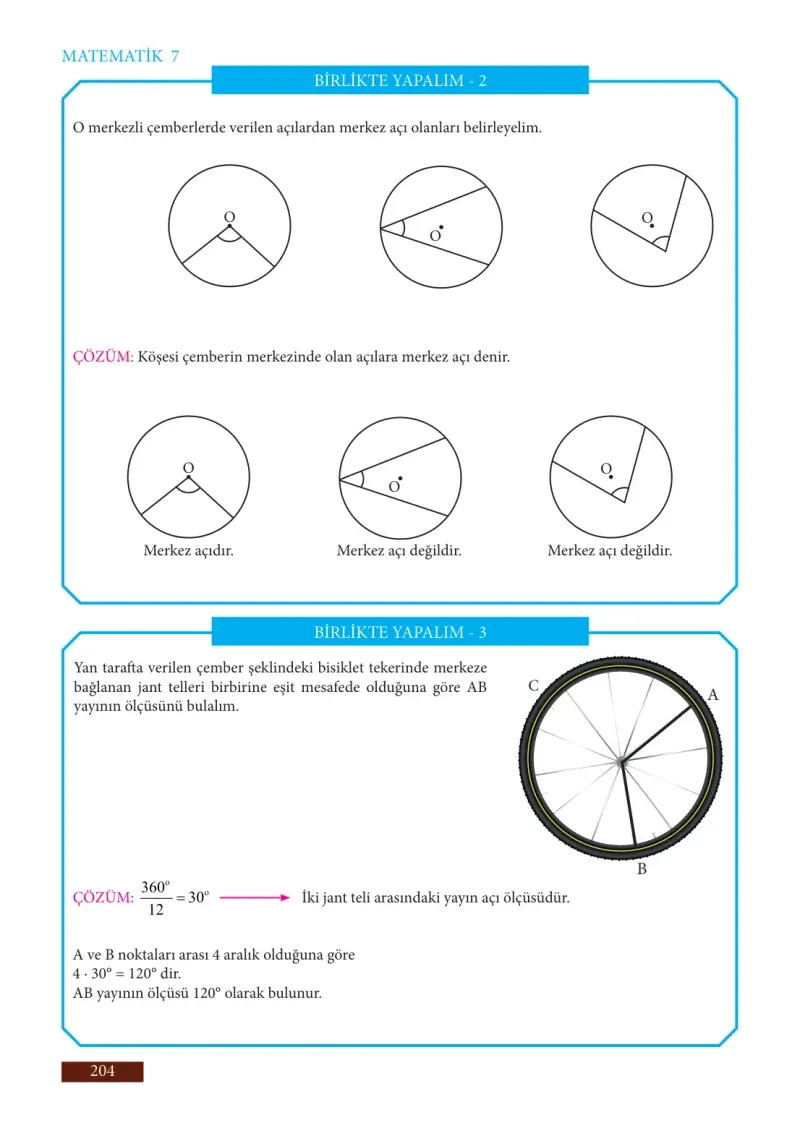 7. Sınıf Matematik Ders Kitabı Cevapları Meb Yayınları Sayfa 204