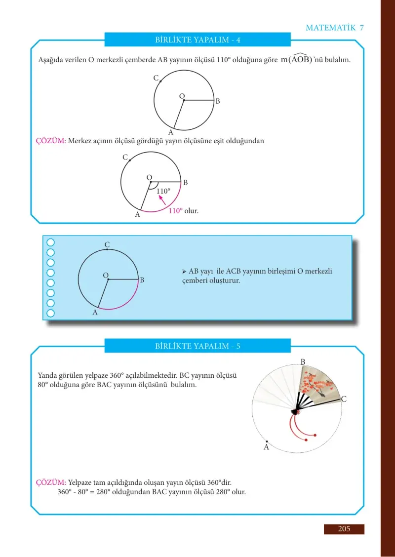 7. Sınıf Matematik Ders Kitabı Cevapları Meb Yayınları Sayfa 205