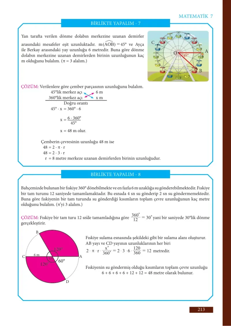 7. Sınıf Matematik Ders Kitabı Cevapları Meb Yayınları Sayfa 213
