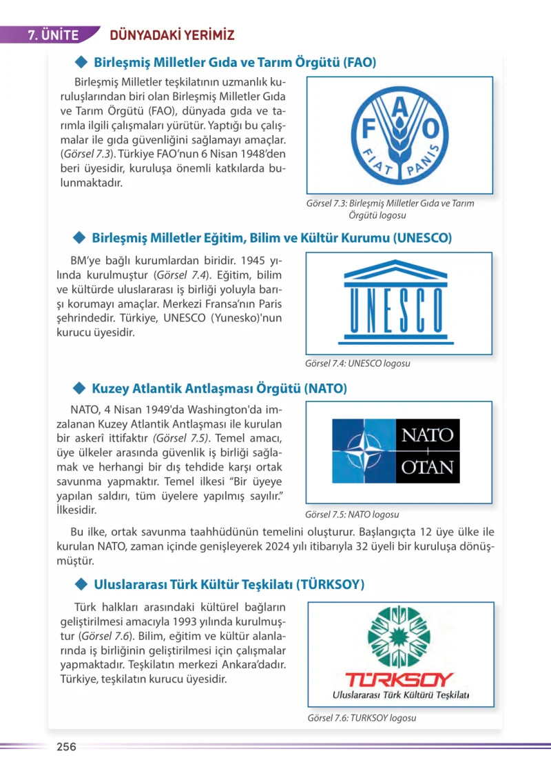 7. Sınıf Sosyal Bilgiler Ders Kitabı Cevapları Meb Yayınları Sayfa 256