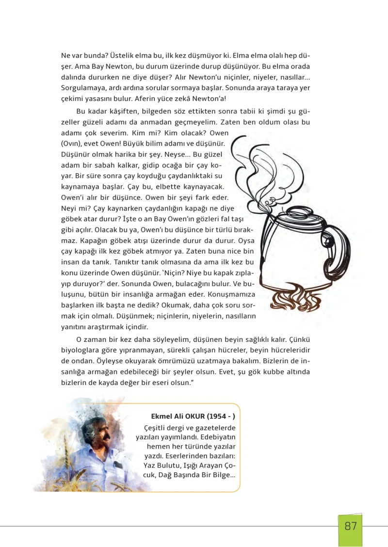 7. Sınıf Türkçe Ders Kitabı Cevapları Meb Yayınları 1. Kitap Sayfa 87