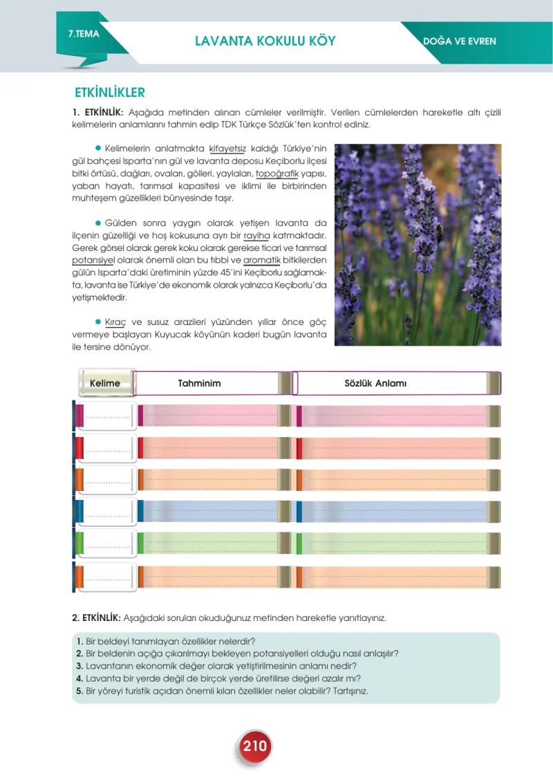 7. Sınıf Türkçe Ders Kitabı Cevapları Meb Yayınları 2. Kitap Sayfa 210