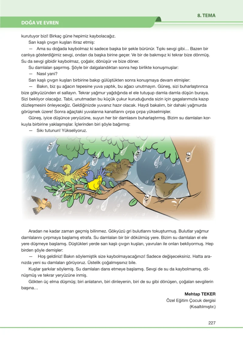 7. Sınıf Türkçe Ders Kitabı Cevapları Özgün Yayınları Sayfa 227