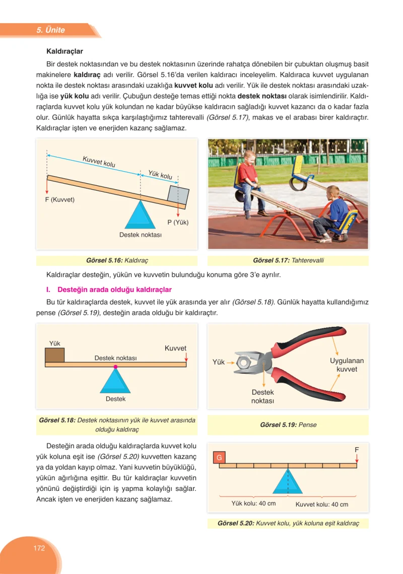 8. Sınıf Fen Bilimleri Ders Kitabı Cevapları Ata Yayınları Sayfa 172