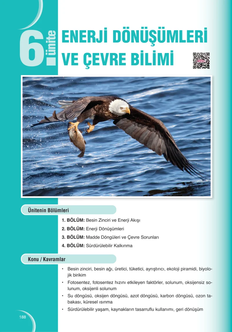 8. Sınıf Fen Bilimleri Ders Kitabı Cevapları Ata Yayınları Sayfa 188