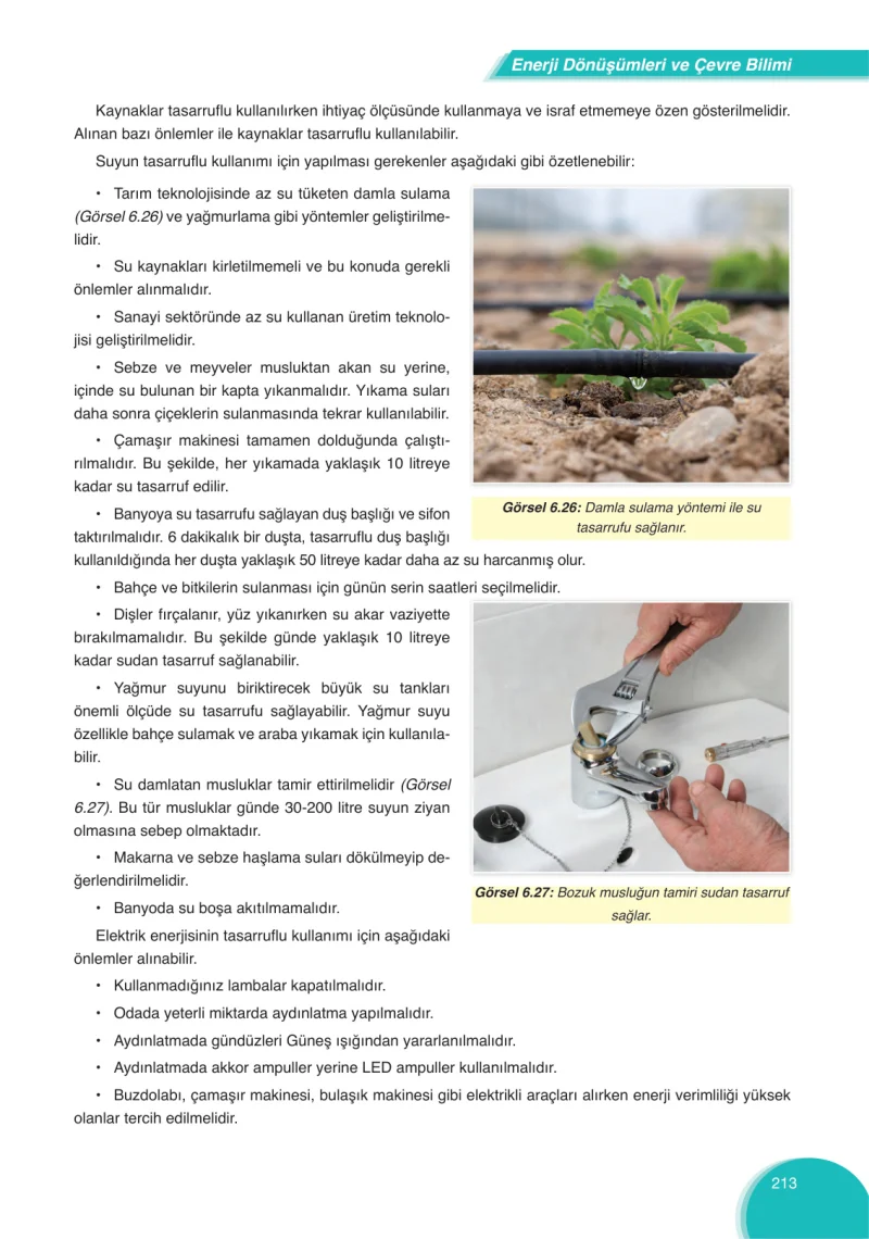 8. Sınıf Fen Bilimleri Ders Kitabı Cevapları Ata Yayınları Sayfa 213