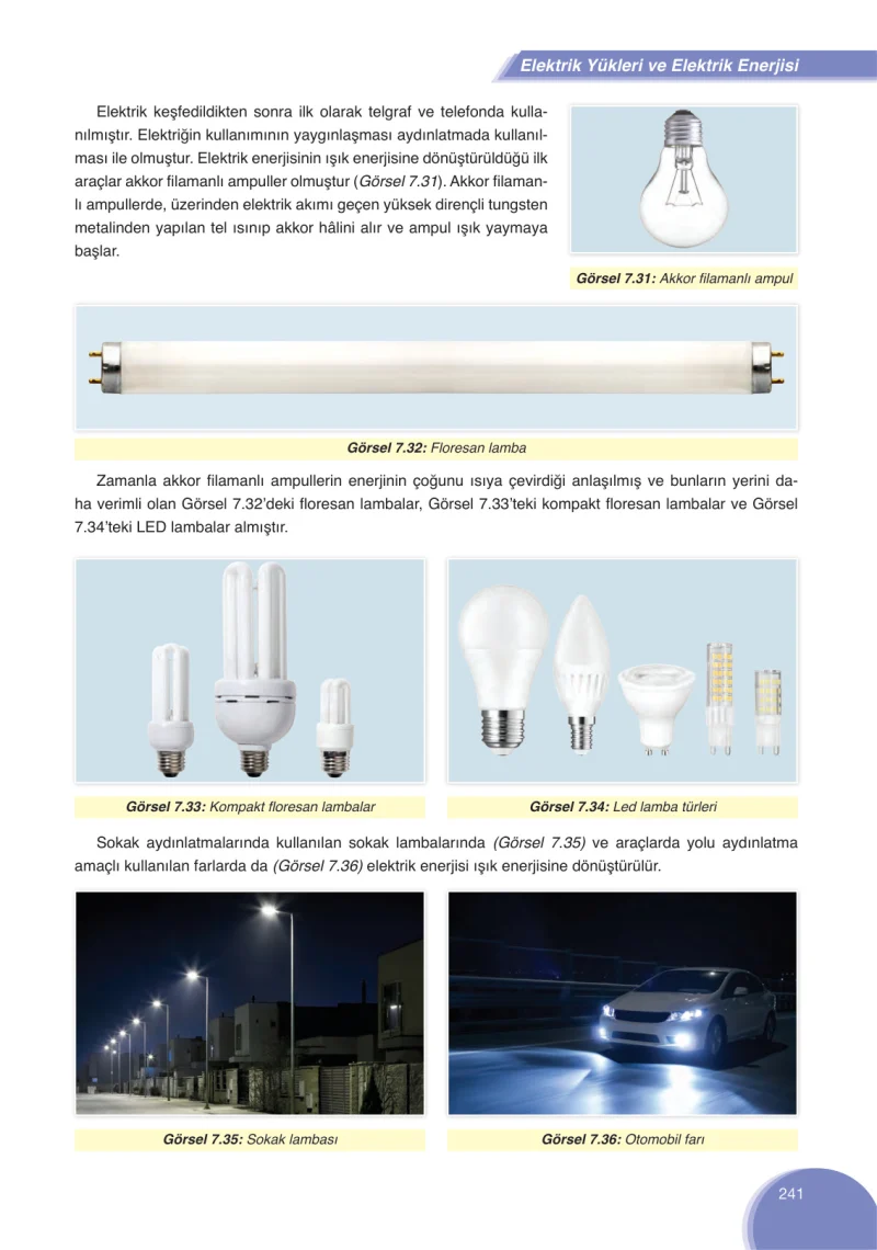 8. Sınıf Fen Bilimleri Ders Kitabı Cevapları Ata Yayınları Sayfa 241