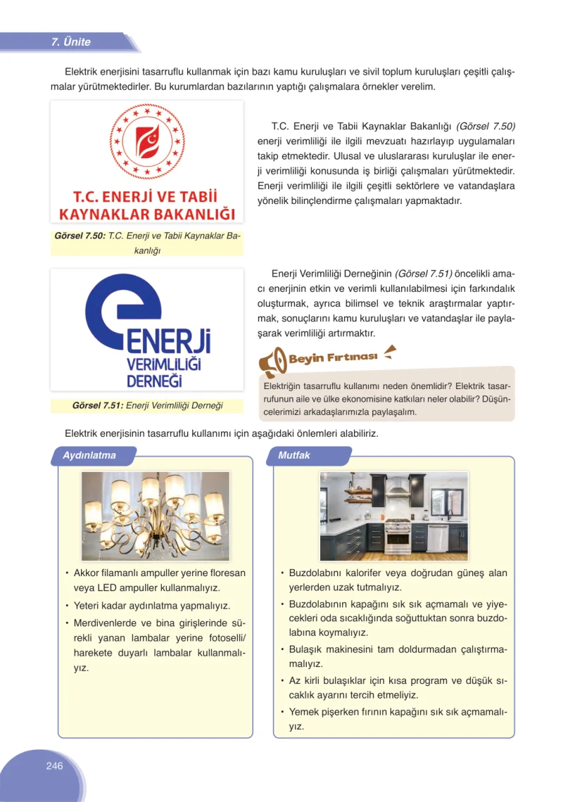 8. Sınıf Fen Bilimleri Ders Kitabı Cevapları Ata Yayınları Sayfa 246