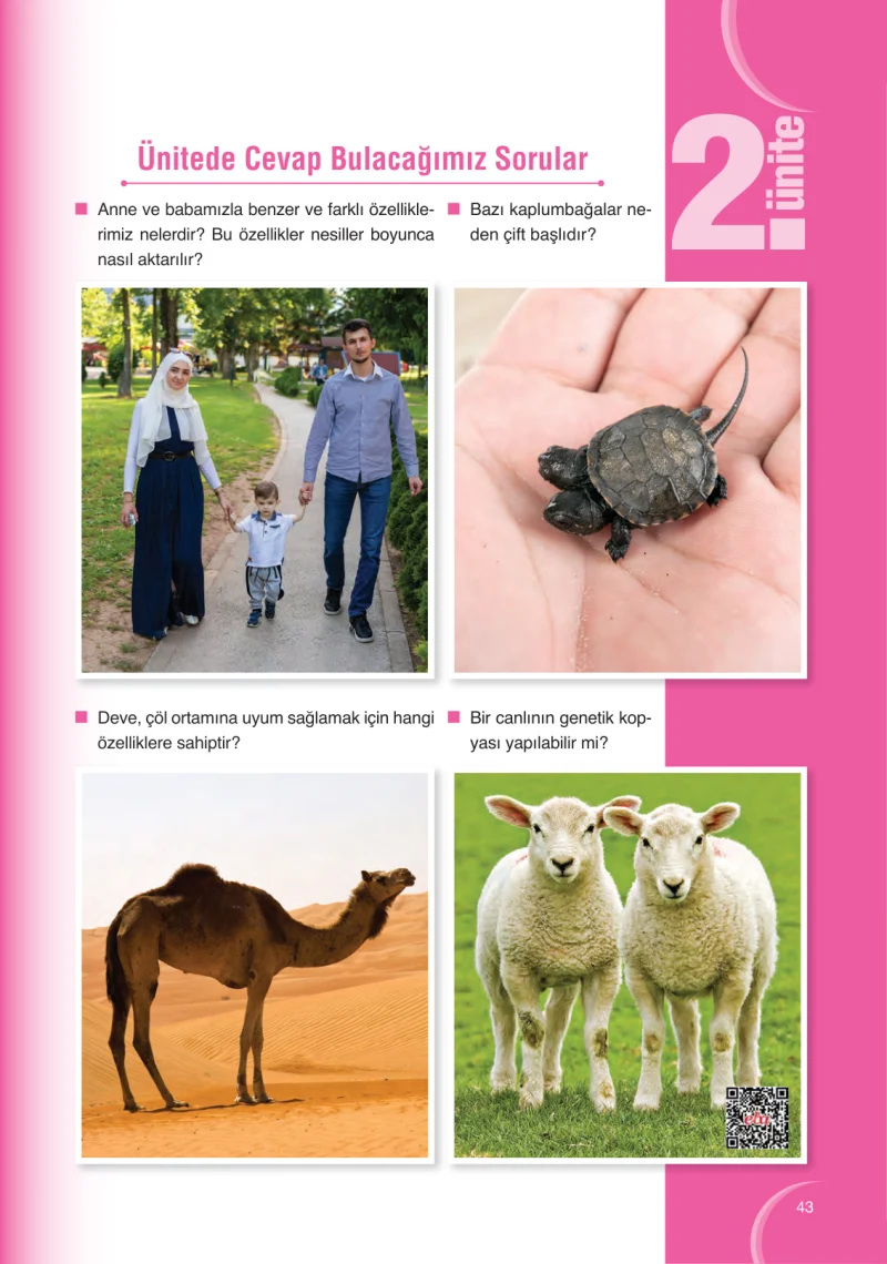 8. Sınıf Fen Bilimleri Ders Kitabı Cevapları Ata Yayınları Sayfa 43