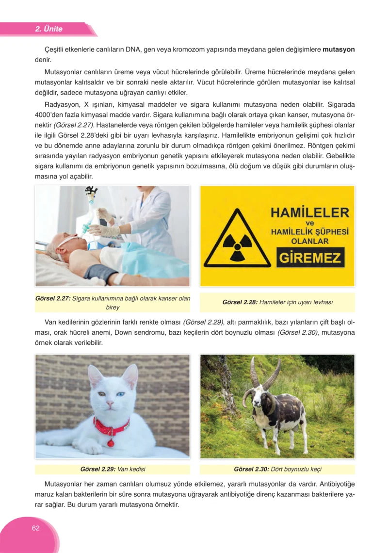 8. Sınıf Fen Bilimleri Ders Kitabı Cevapları Ata Yayınları Sayfa 62