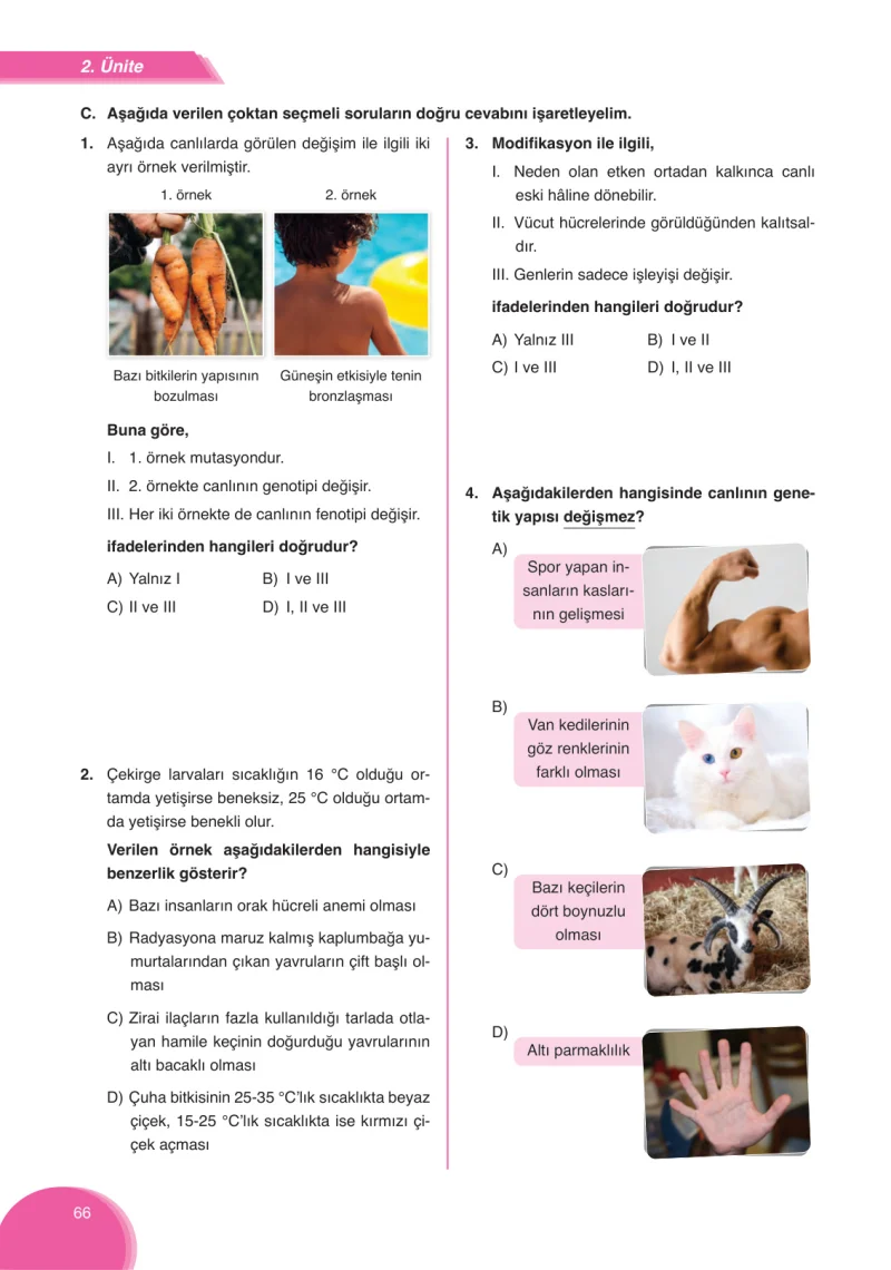 8. Sınıf Fen Bilimleri Ders Kitabı Cevapları Ata Yayınları Sayfa 66