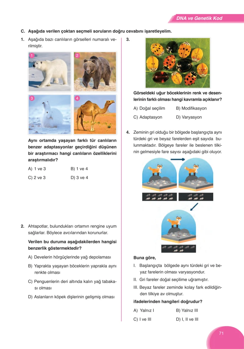 8. Sınıf Fen Bilimleri Ders Kitabı Cevapları Ata Yayınları Sayfa 71