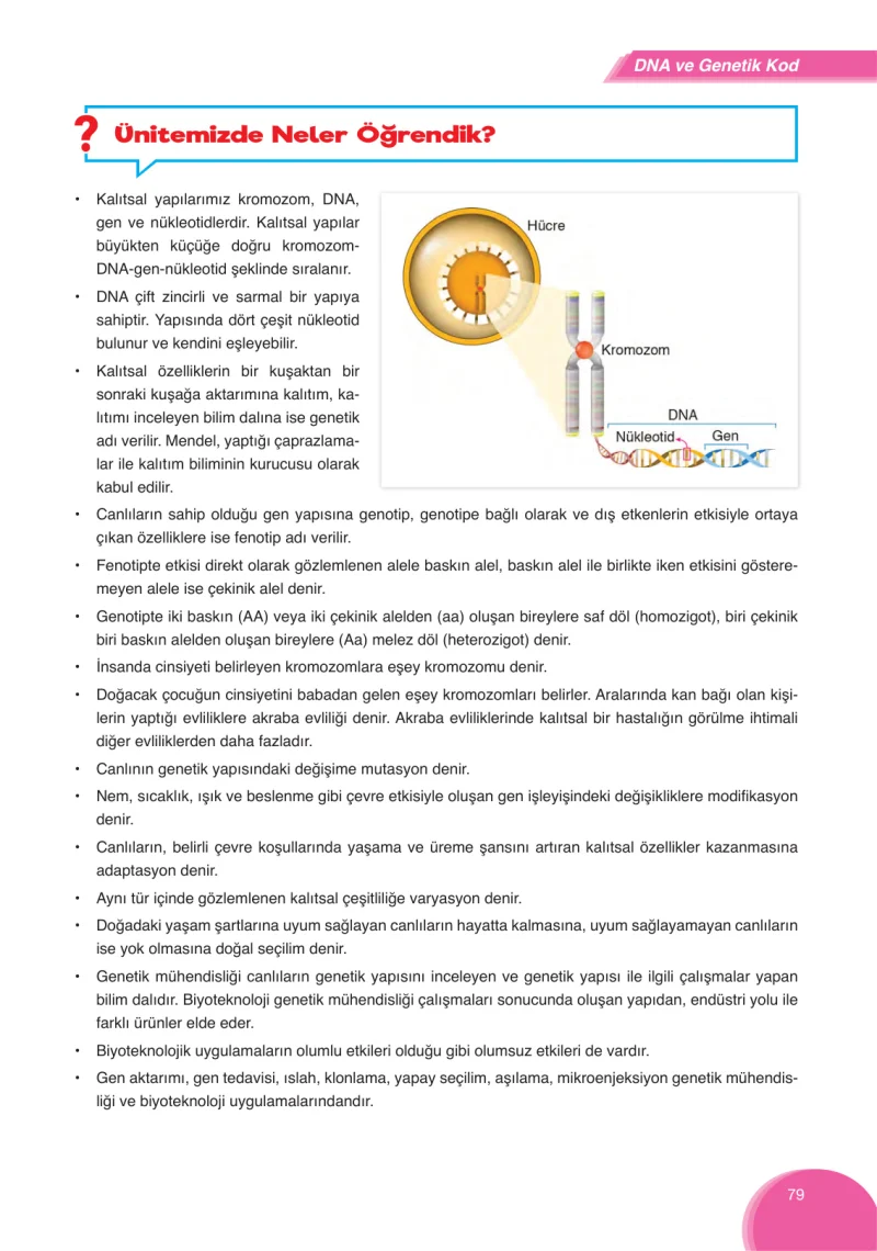 8. Sınıf Fen Bilimleri Ders Kitabı Cevapları Ata Yayınları Sayfa 79