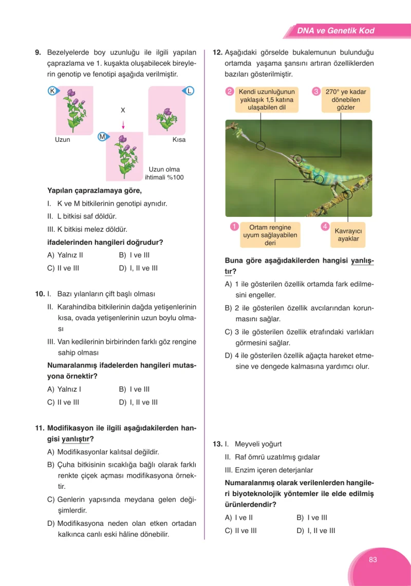 8. Sınıf Fen Bilimleri Ders Kitabı Cevapları Ata Yayınları Sayfa 83