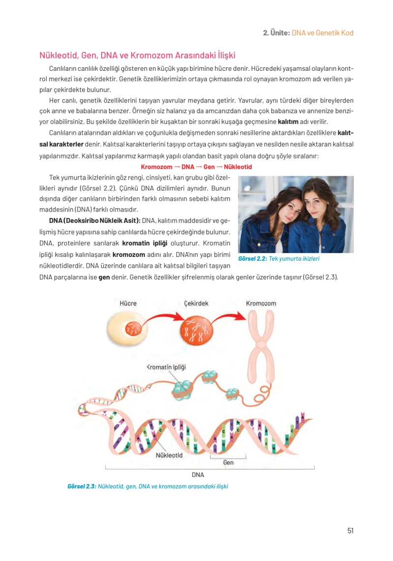 8. Sınıf Fen Bilimleri Ders Kitabı Cevapları Hecce Yayınları Sayfa 51