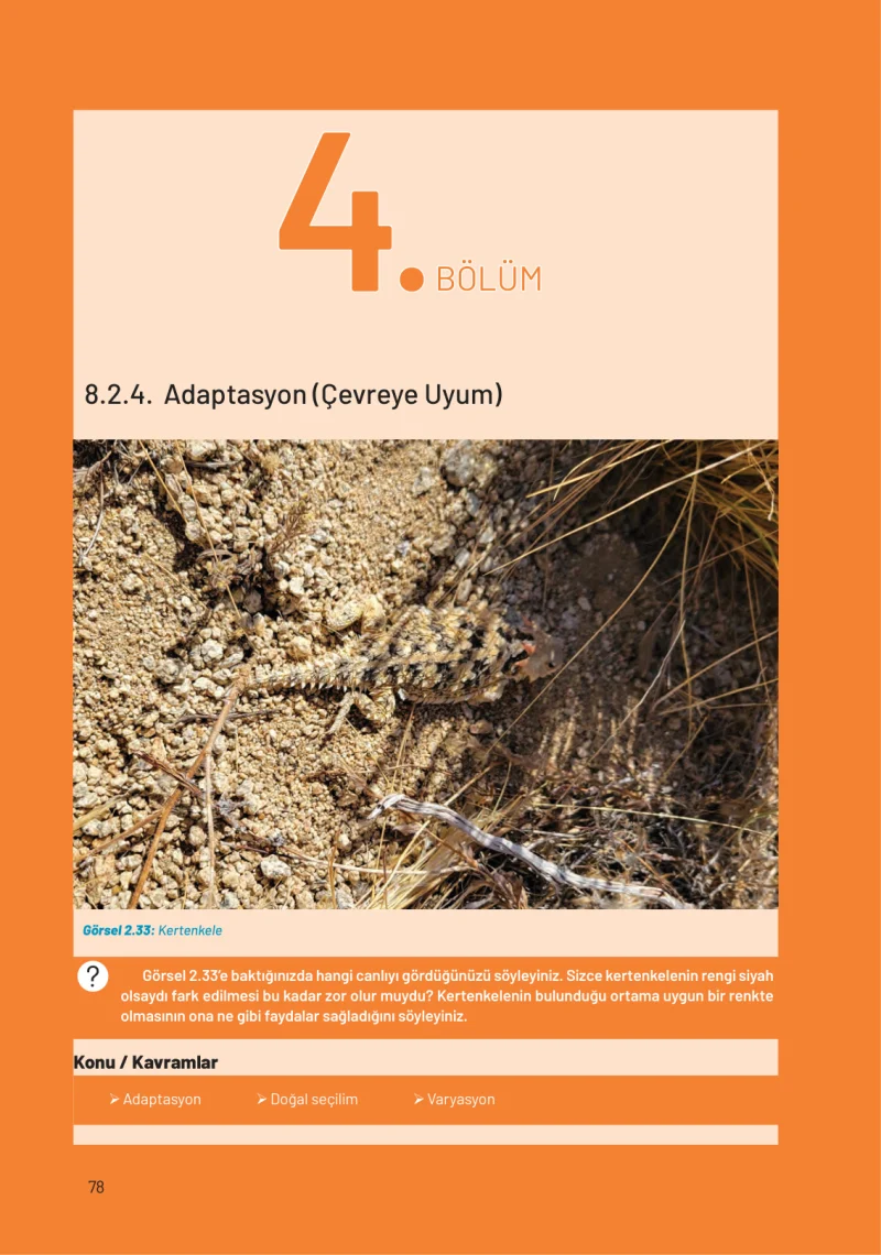 8. Sınıf Fen Bilimleri Ders Kitabı Cevapları Hecce Yayınları Sayfa 78